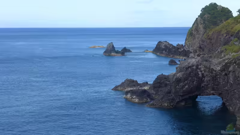 Azoren - Naturparadies im Atlantik zwischen Vulkanen, Ozean und unberührter Wildnis