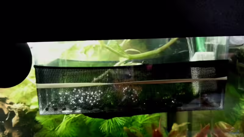 Baby-Becken ;-) von Michael Boeck (3)