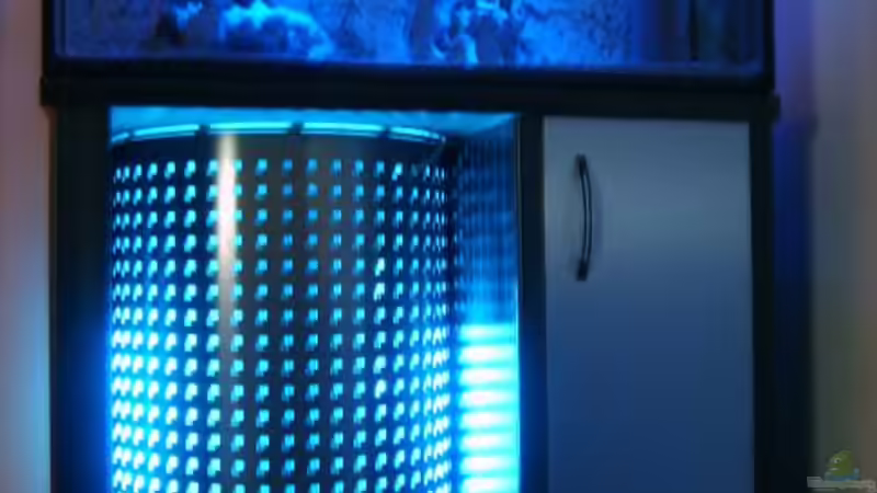 Babybecken Aufzucht 100x40x60cm Nachtled + Spots von Lars Schnabel (3)