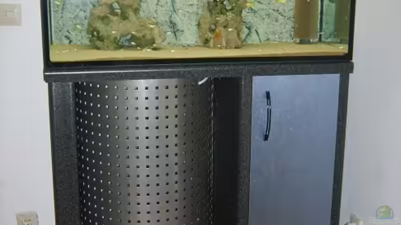 Babybecken Aufzucht 100x40x60cm von Lars Schnabel (2)