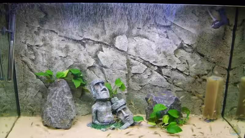 Babybecken nach einem Jahr  von Lars Schnabel (5)