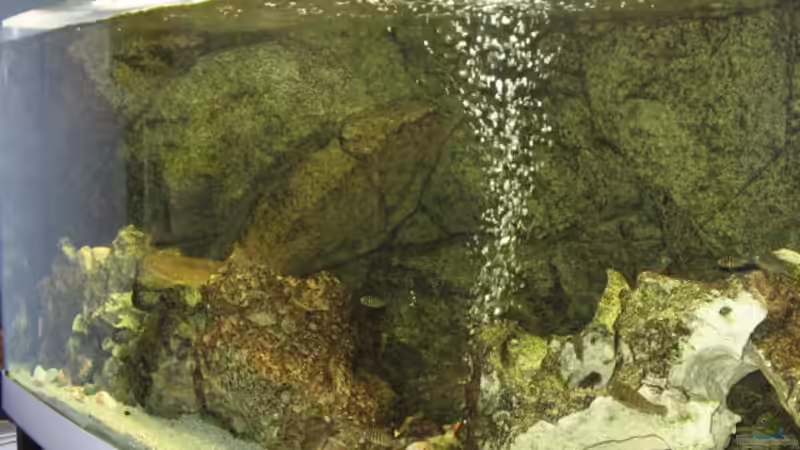 Bac to Natur Rückwand / Lochgestein von Axel Borck (5)