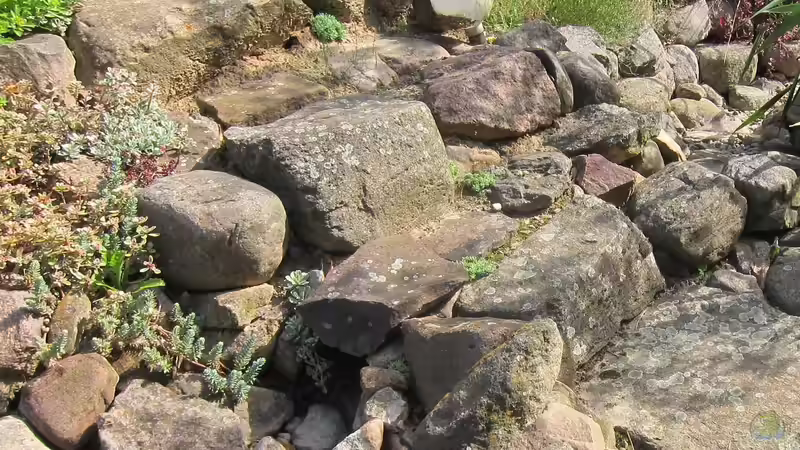 Bachdurchfluss unter der Treppe von Lily (11)