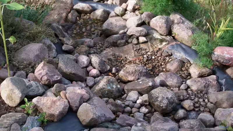 Bachlauf - oberer Abschnitt von Lily (8)