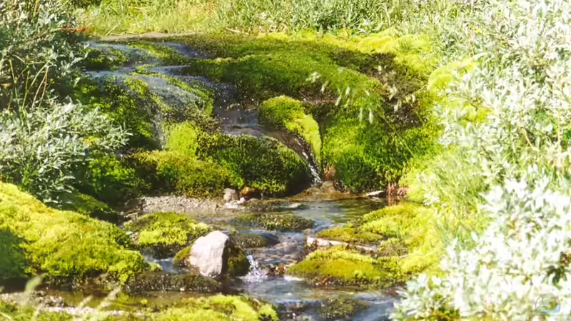 Bachlauf in der Hardangervidda in Norwegen von Junglist (17)