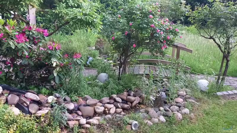 Bachlauf mit Brücke durch den ´Rosenwald´ von Acero (6)