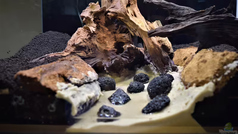 Bachlauf von Junglist (9)