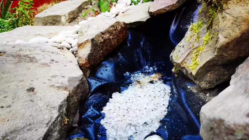 Bachlauf zum Teich, auskleidung mit Quarkies und größeren Störsteinen. von David Schneider Aquaristik (11)