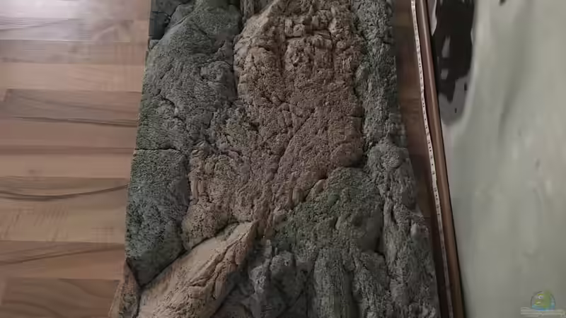 Back to Nature 3D Rückwand von Veljev (2)