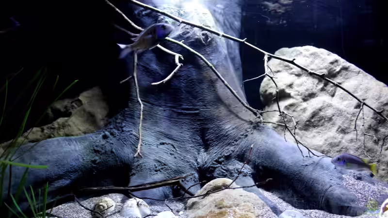 Back To Nature künstlicher Baumstumpf von Florian Bandhauer (57)