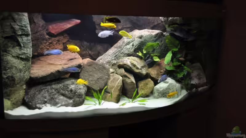 Back to Nature Malawibecken von Vladi (1)