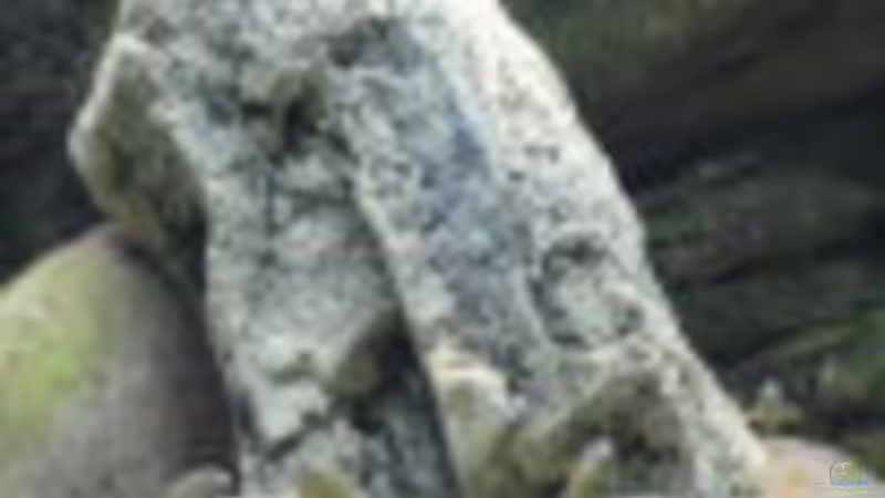 Back to Nature Modul O von Manuel König (7)