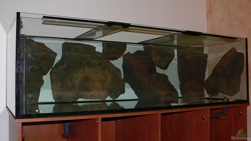 Back to Nature Module von Christian Klar (11)