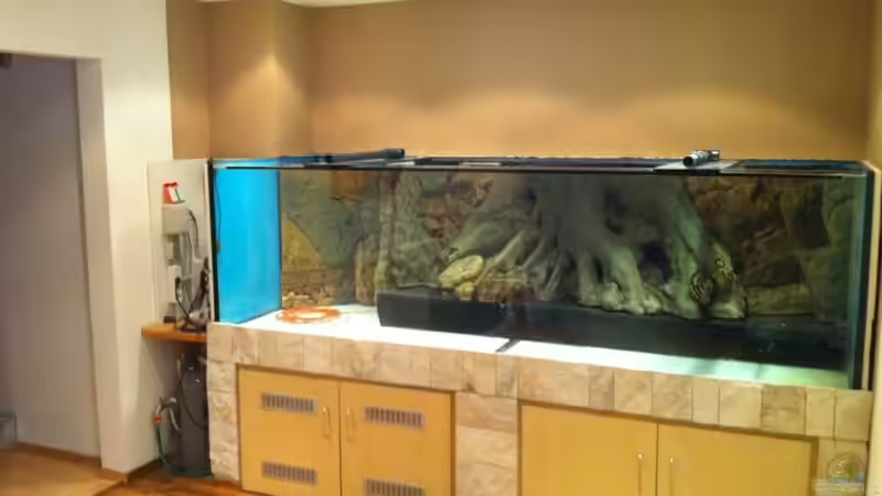 Back to Nature Rückwand + Module von Benjamin Daum (10)