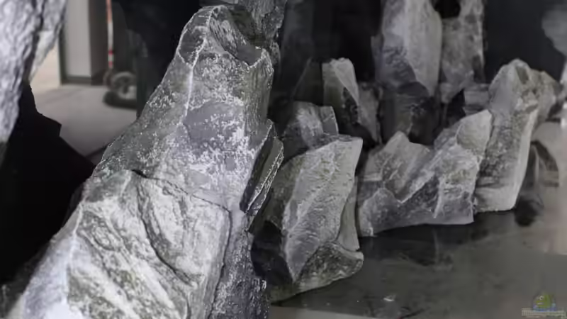 Background von Lemans (2)