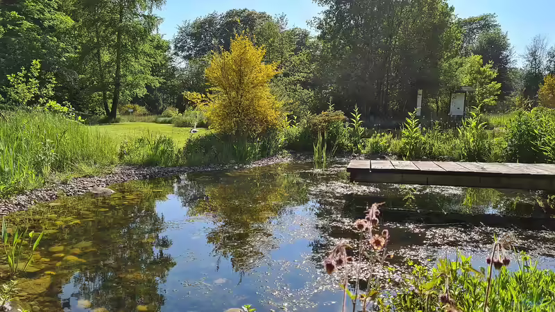 Bäume für jede Jahreszeit aus Vorrat lieferbar