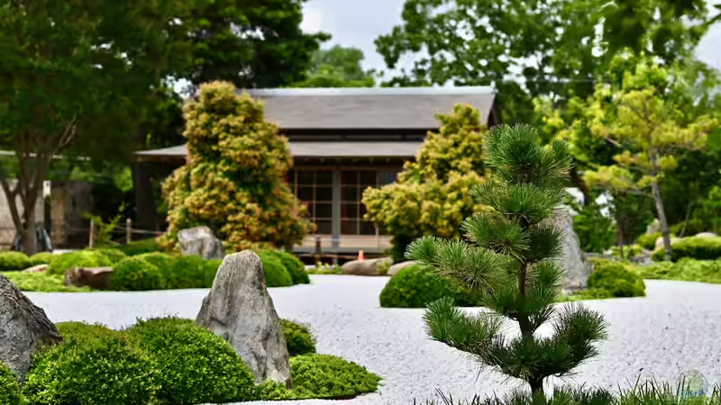 Bäume online bestellen: Alles, was du wissen musst