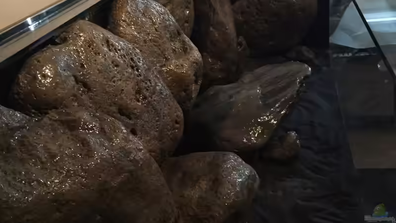 Bald soll Wasser rein... von TheToxicAvenger (17)