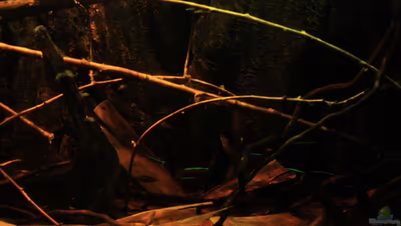 Bananenblätter & ??ste von Bämbel (35)