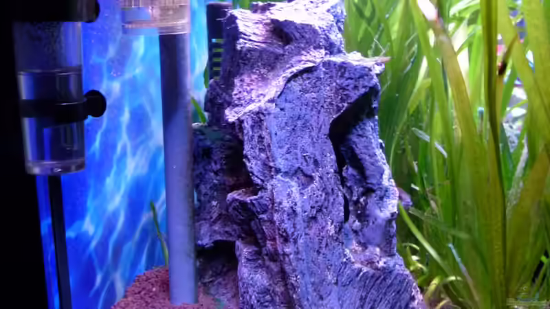 Barschhöhle ´Kunststeinoptik´ von Mc.Maurer (18)