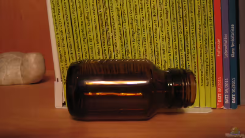 Barschhöhle links (eine Nummer kleiner als die eingebaute Höhle) von Robbi (9)