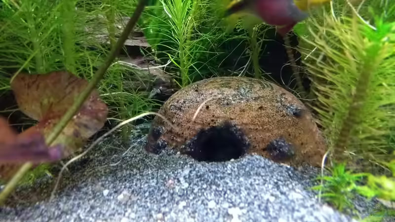Barschhöhle von Stephy (29)