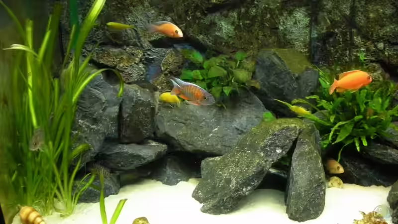 Basalt aus der Eifel von Peterfish (9)