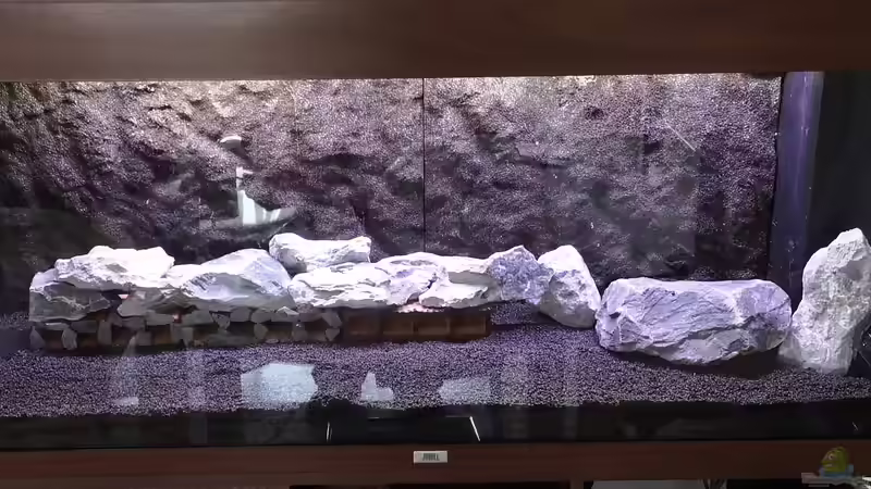 Basalt und 15 Welshöhlen ( die Rechte wurde noch ´Verkleidet´) von Mark H. (30)