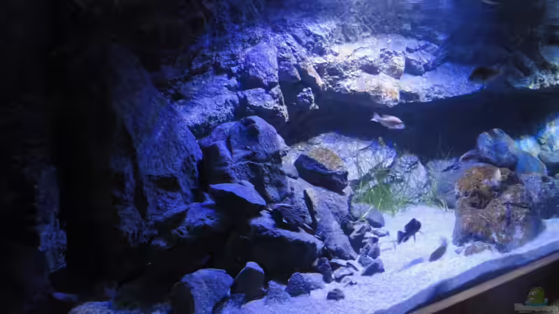 Basalt und H-Stonemodul von Strücher Jung (5)