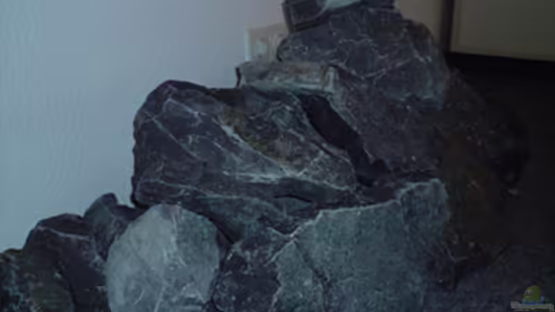 Basalt von Master S2308 (7)