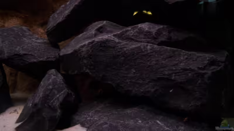 Basaltbruch von Michael Boeck (7)