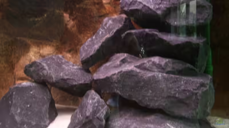 Basaltbruch von Michael Boeck (8)