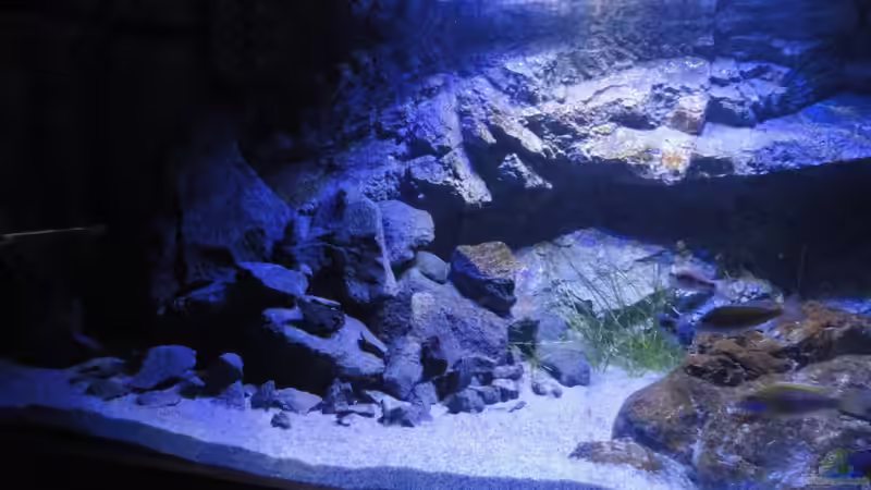 Basalthaufen von Strücher Jung (8)