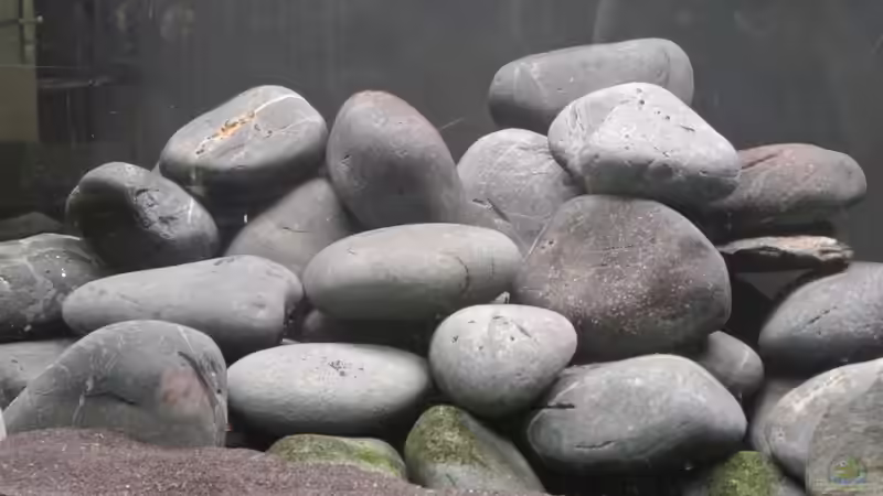 Basaltkiesel von raho (4)