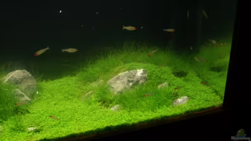 Basaltsteine in einer Hügellandschaft von Christoph Werner (15)