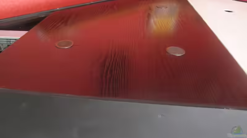 Bau Abdeckung von wadde (10)