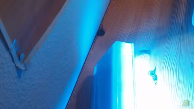 Bau der LED Leuchte von Moepple (14)