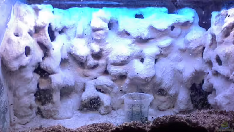 bau der Rückwand von Sören Petersen (9)