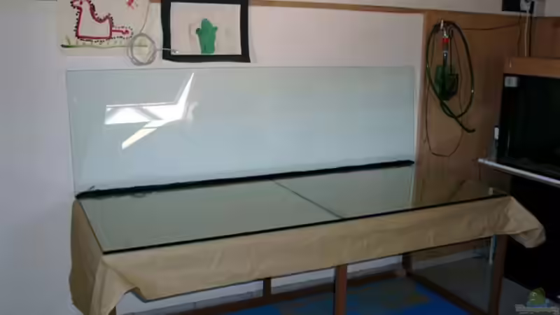 Bau des Beckens von Mikey (16)