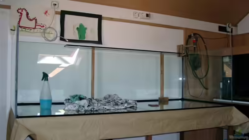 Bau des Beckens von Mikey (18)