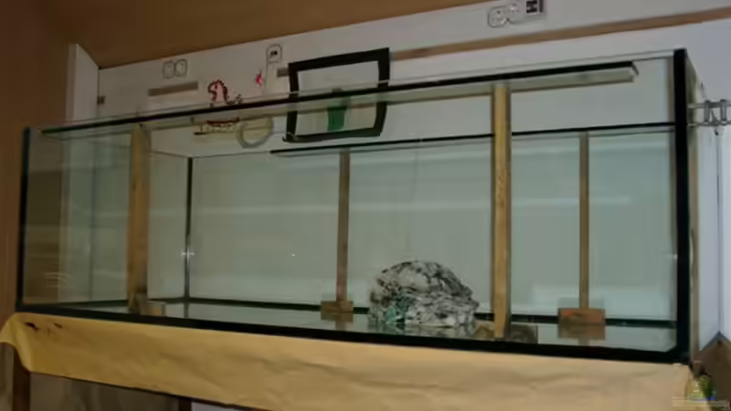 Bau des Beckens von Mikey (19)