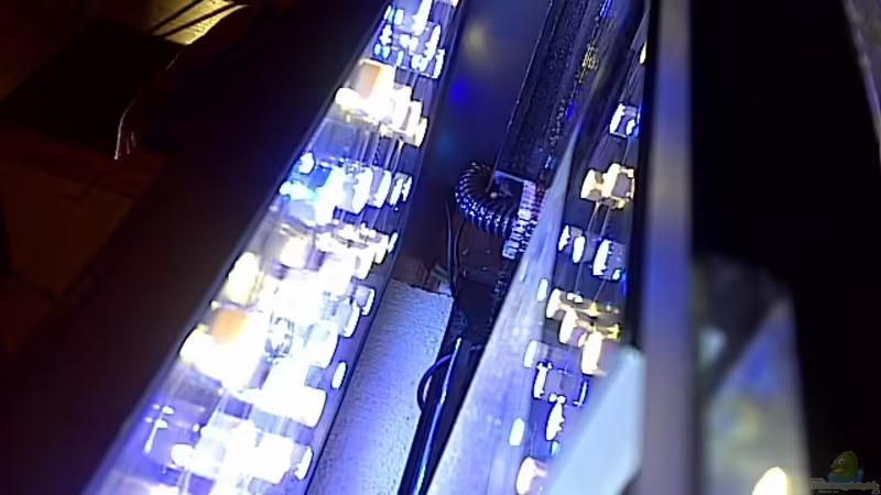 Bau einer High Power LED Leuchte mit Lichtcomputer für Meerwasser-Aquarien