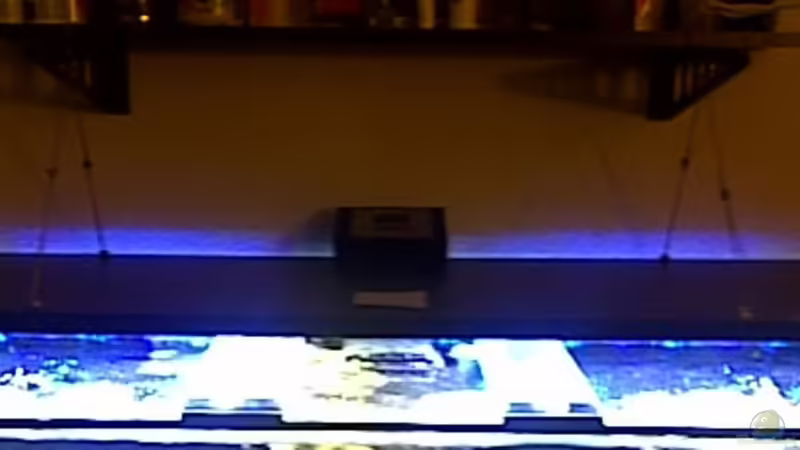 Bau einer High Power LED Leuchte mit Lichtcomputer für Meerwasser-Aquarien