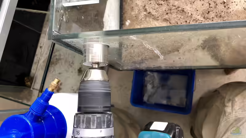 Bau eines Aquarien-Kellers, Teil DREI, Herbst 2018