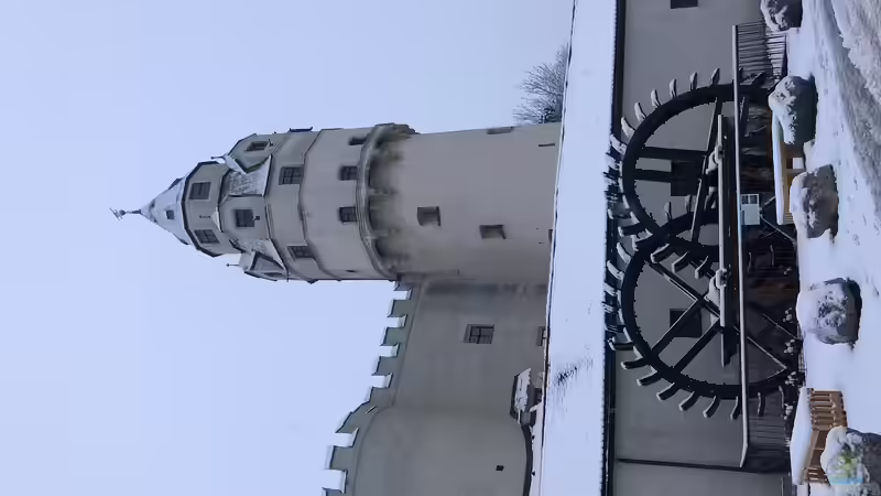 Bau eines Aquarien-Kellers, Teil ELF, Winter 2019/2020 Teil eins