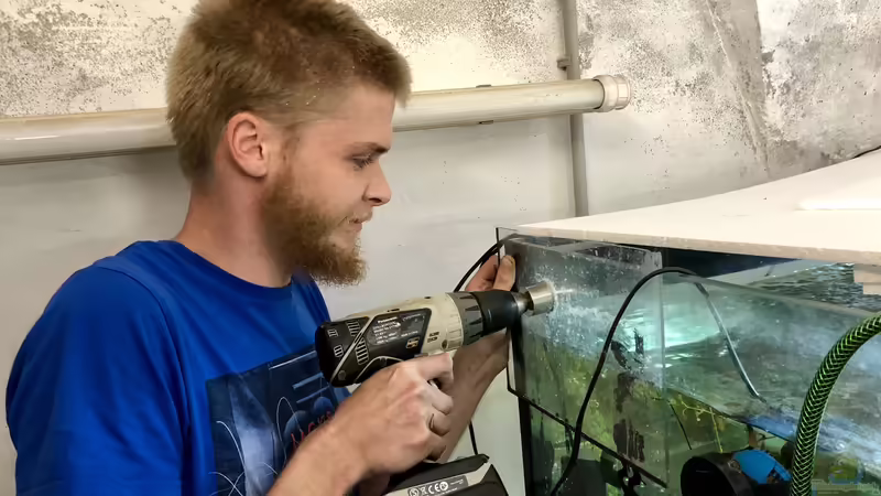 Bau eines Aquarien-Kellers, Teil NEUN, Sommer/Herbst 2019