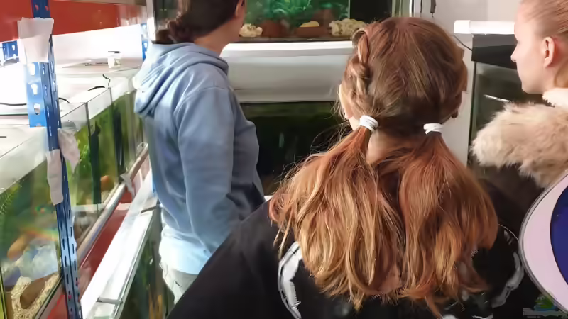 Bau eines Aquarien-Kellers, Teil ZEHN, Herbst 2019