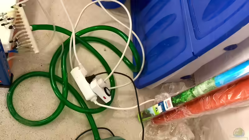 Bau eines Aquarien-Kellers, Teil ZWEI, Sommer 2018