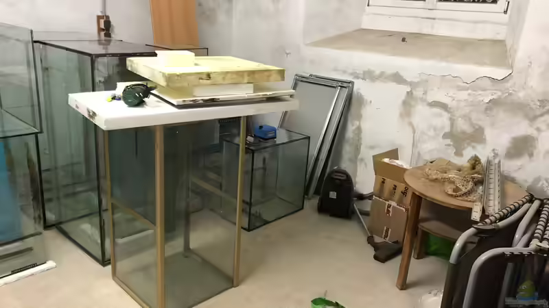 Bau eines Aquarien-Kellers, Teil ZWEI, Sommer 2018