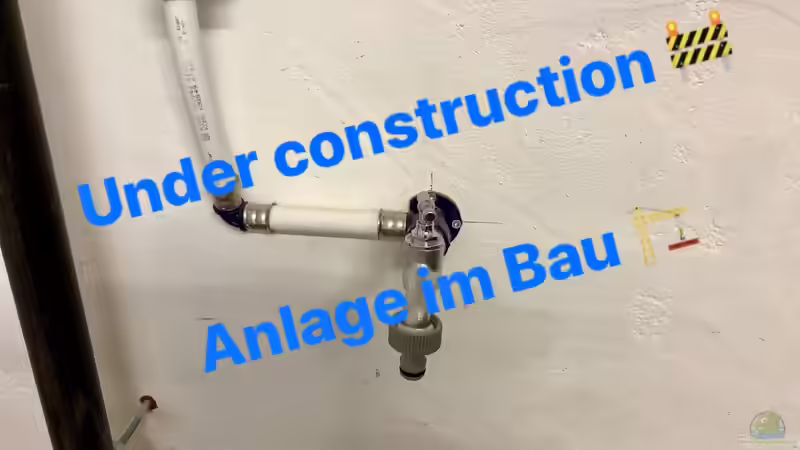 Bau eines Aquarien-Kellers, Teil EINS, Frühling/Sommer 2018